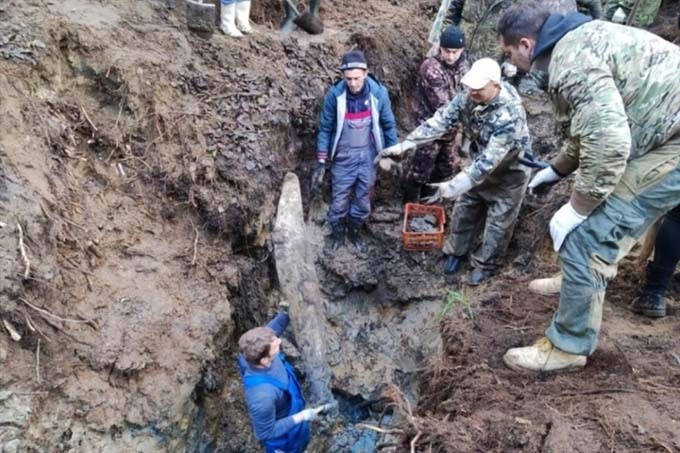 Поисковики из Брянска установили место гибели мстиславского лётчика
