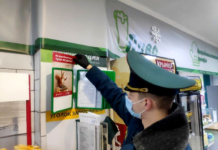 Мстиславские спасатели призывают не ждать белочку, а потушить окурок
