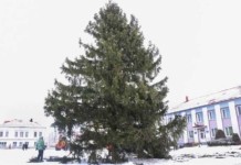 В Мстиславле установили главную городскую ёлку. Фотофакт