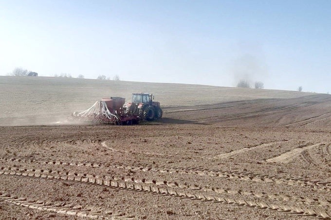 Аграрии Мстиславского района посеяли более 300 гектаров яровых