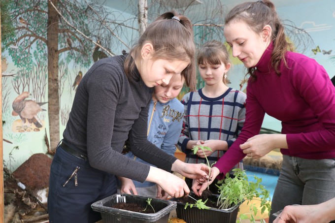 Как в Рязанцевской школе реализуют органическое земледелие и учат предпринимательству