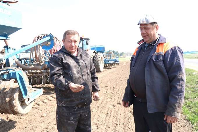 Мстиславские аграрии посеяли больше половины площадей яровых зерновых