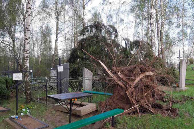 Поваленные деревья, оборванные провода, разбитые машины. В Мстиславском районе ликвидируют последствия стихии