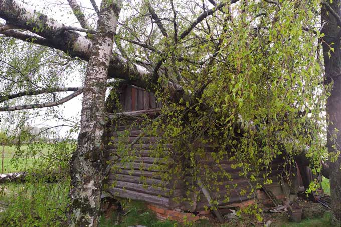 Поваленные деревья, оборванные провода, разбитые машины. В Мстиславском районе ликвидируют последствия стихии