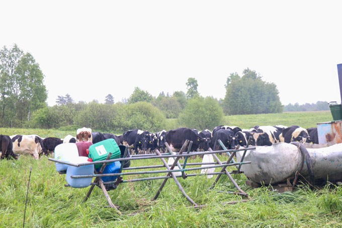 Посмотрите, каких результатов достигли животноводы в производстве молока