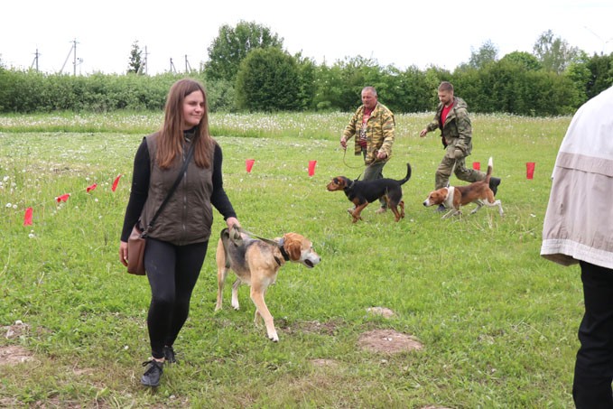 В Мстиславле на охотничьей выставке определили лучшую собаку