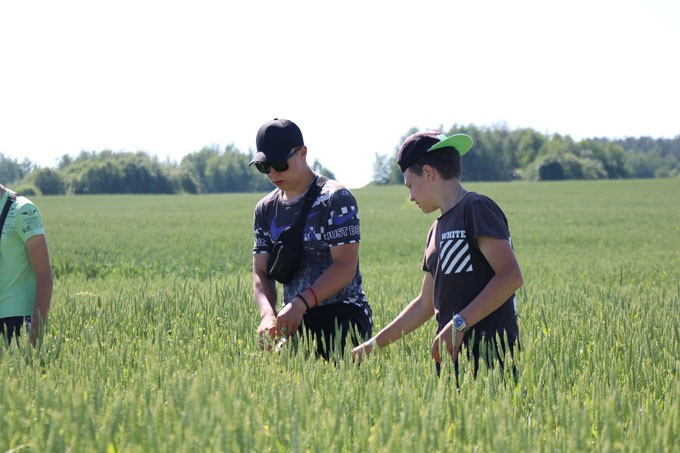 Узнали, чем занимаются школьники на полях сельхозпредприятий