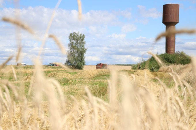 Аграрии Мстиславского района обмолотили 32,8% хлебной нивы