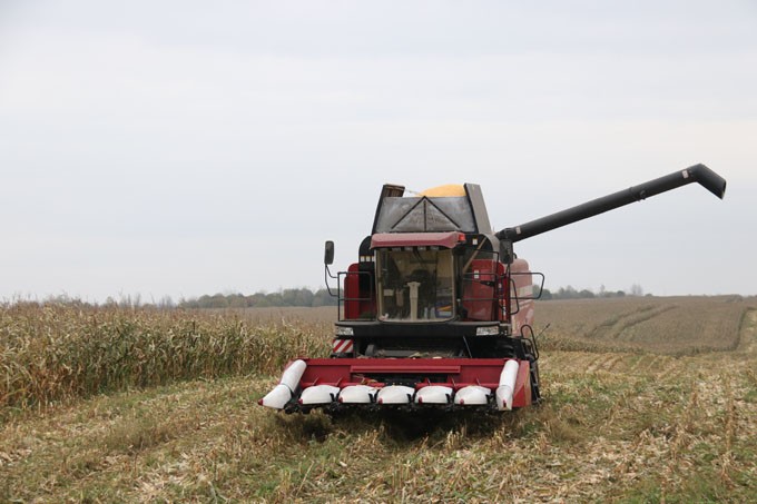 Сельхозпредприятия района активными темпами ведут уборку кукурузы