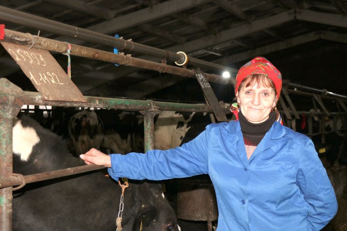 Доярка ОАО «Октябрь» Наталья Гришанова рассказала о том, кто может работать в сфере сельского хозяйства