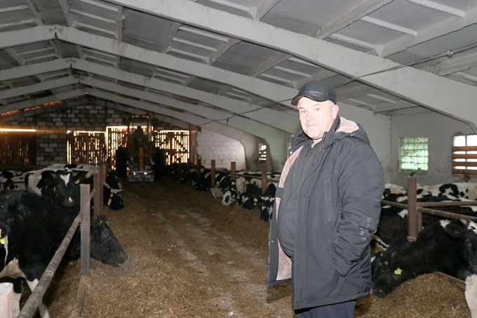 Как содержат крупный рогатый скот в ОАО «Заболотье-агростандарт»