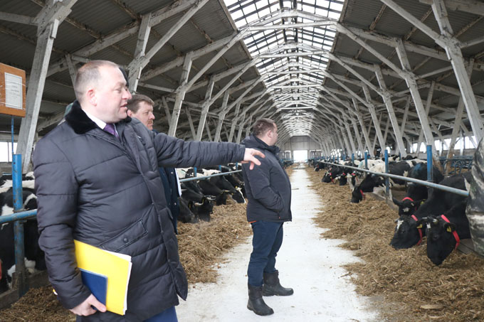 Надои и товарность молока, привесы КРС. Мстиславские животноводы подвели итоги работы за январь и февраль