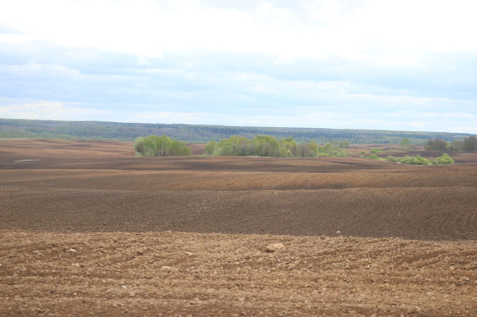1100 гектаров льна планируют посеять в Мстиславском районе