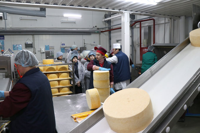 Около 20 тонн сыров в сутки производят в Мстиславле. Что стоит за этими цифрами