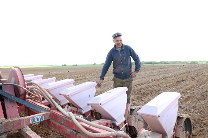 В Мстиславском районе посеяно более двух тысяч гектаров кукурузы. Узнали, кто в лидерах на этом участке работ
