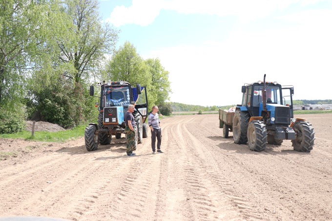 В Мстиславском районе посеяно более двух тысяч гектаров кукурузы. Узнали, кто в лидерах на этом участке работ