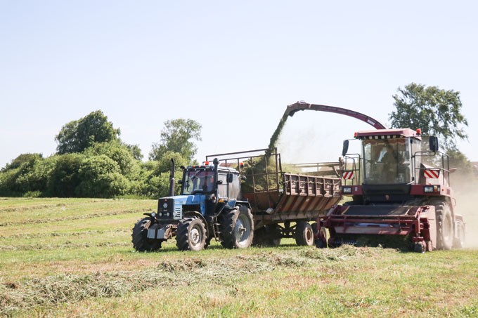 В сельхозпредприятиях Мстиславского района продолжается заготовка кормов. Кто в лидерах