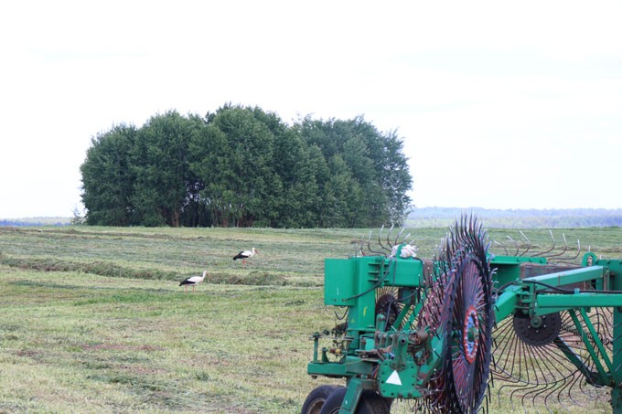 На счету аграриев Мстиславщины более 1800 га скошенных трав