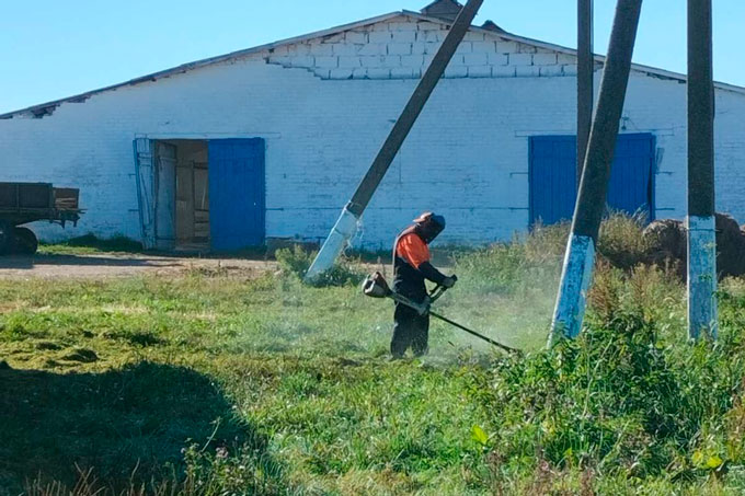 Как мстиславчане помогают аграриям подготовиться к зимне-стойловому содержанию КРС