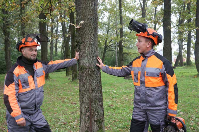 Сегодня День работников леса. С какими результатами его встречают лесничества Мстиславского района