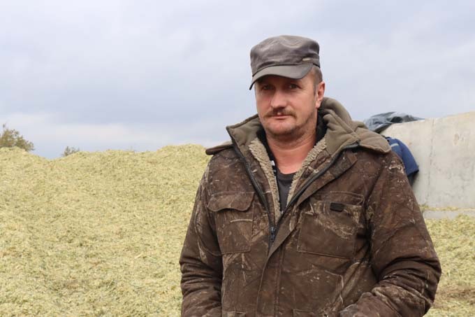 Аграрии района убирают кукурузу на зерно и силос. Как идут работы в ОАО «Мазоловское»