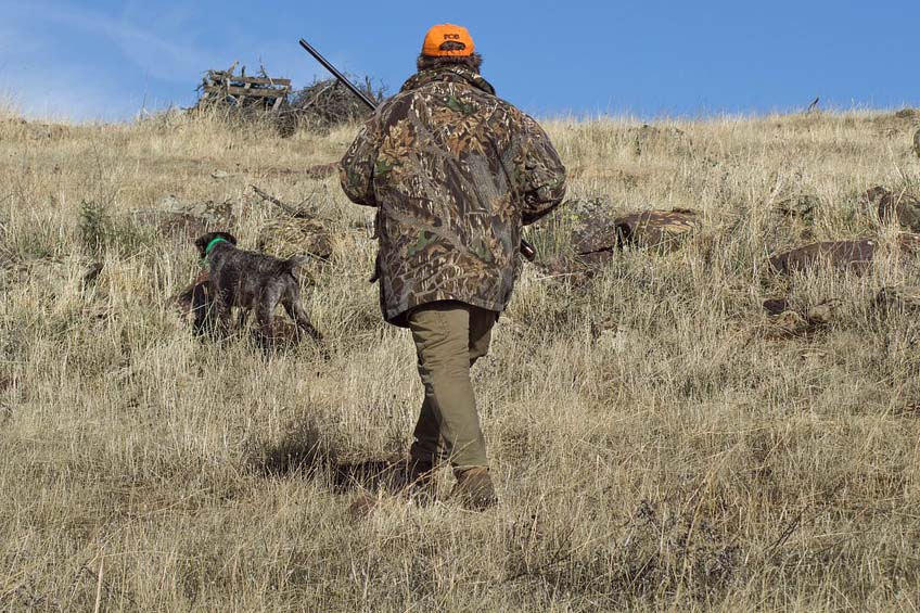 Какой вид туризма будут популяризировать в ноябре