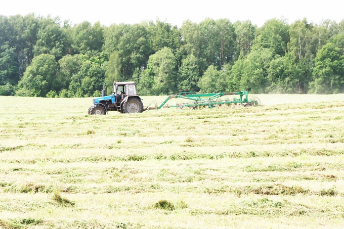 Узнали, сколько тонн сенажа заготовили аграрии района
