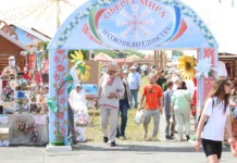 Программа республиканского праздника "Купалье" в Александрии.