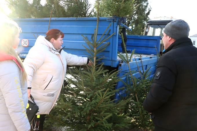 В Мстиславле открылись ёлочные базары