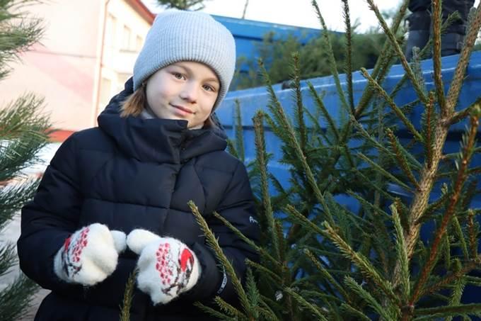 Живые деревья будут радовать мстиславчан.