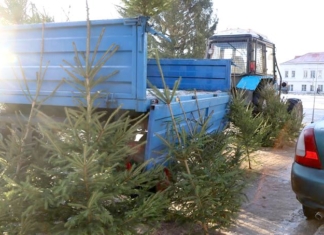 В Мстиславле открылись ёлочные базары.