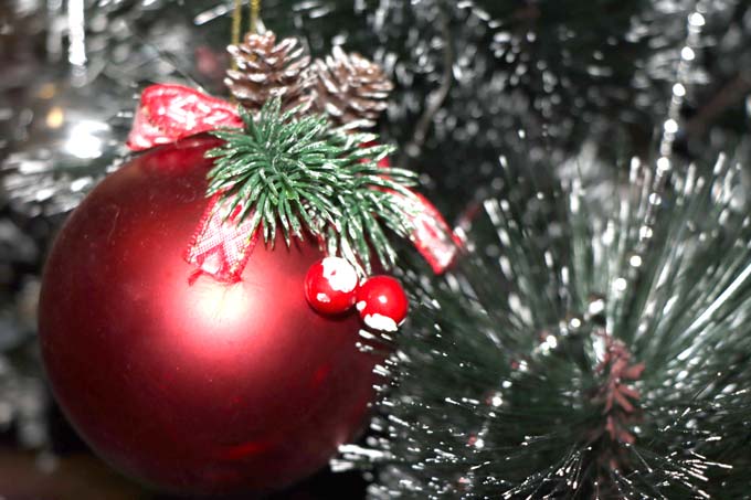 Самая дорогая ёлка в Беларуси может стоить 12 000 рублей.