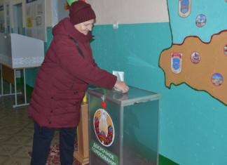 Досрочное голосование
