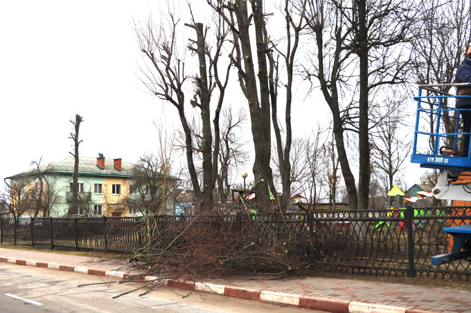 В районе ведётся кронирование деревьев