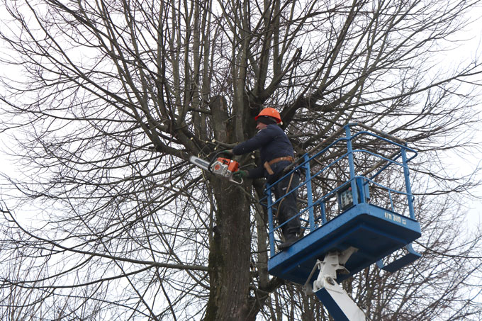 В районе ведётся кронирование деревьев.