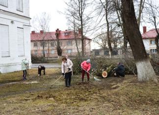 Благоустройство территорий и санитарные нормы. Кто в ответе