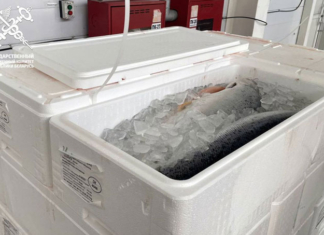 Рыбу стоимостью 660 тысяч пытались вывезти из страны.