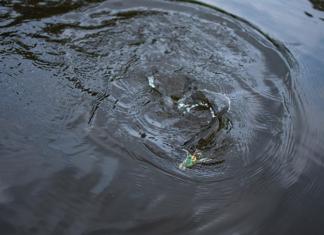В Беларуси началось зарыбление водоёмов