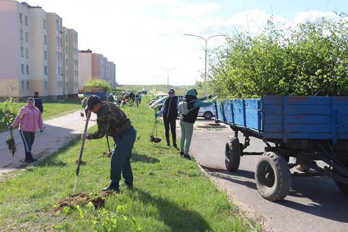 Санитарный день в Мстиславле. Какие работы провели трудовые коллективы