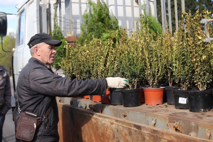 Санитарный день в Мстиславле. Какие работы провели трудовые коллективы