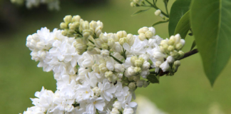 За что белорусов оштрафуют на 1260 рублей.