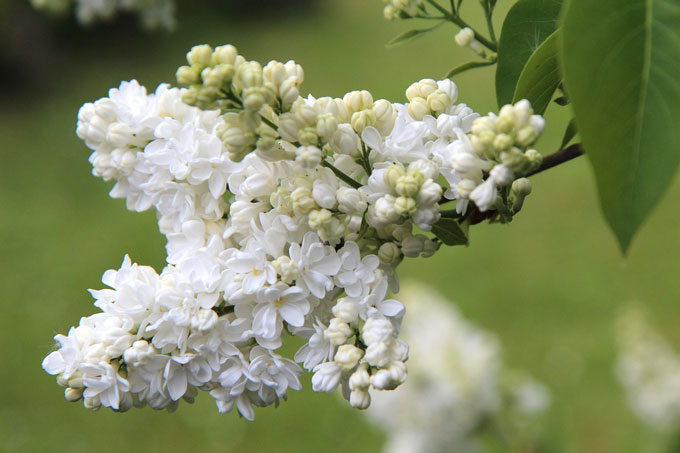 За что белорусов оштрафуют на 1260 рублей.