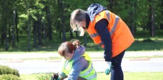 В Мстиславле на въездах в город высадят 600 саженцев петуний