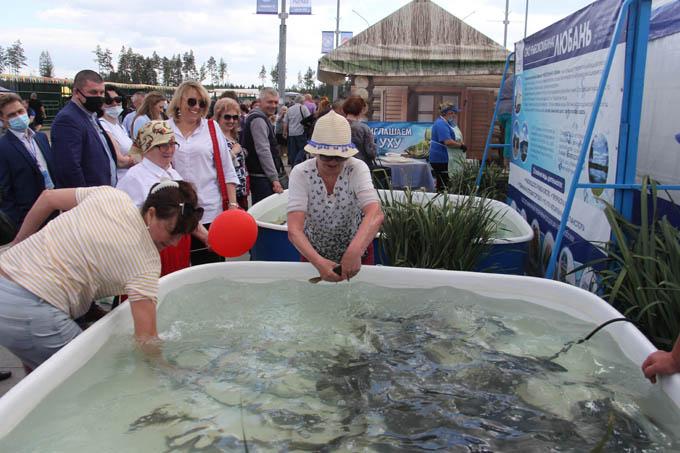 Что интересного ждёт вас на белорусской агропромышленной неделе 3-7 июня