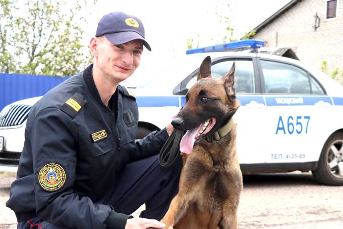 Рассказываем, как несут службу мстиславские кинологи.