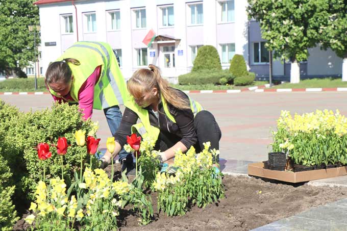 Коммунальщики высаживают цветы на улицах райцентра