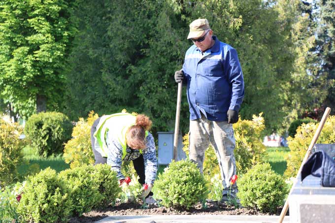 Коммунальщики высаживают цветы на улицах райцентра