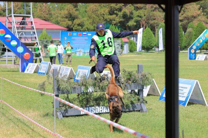 Рассказываем, как несут службу мстиславские кинологи
