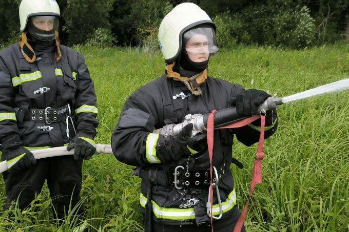 5395525246985040124 (Copy)