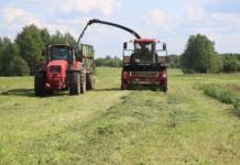 Начало кормозаготовке положено. Сколько тонн сенажа в активе аграриев